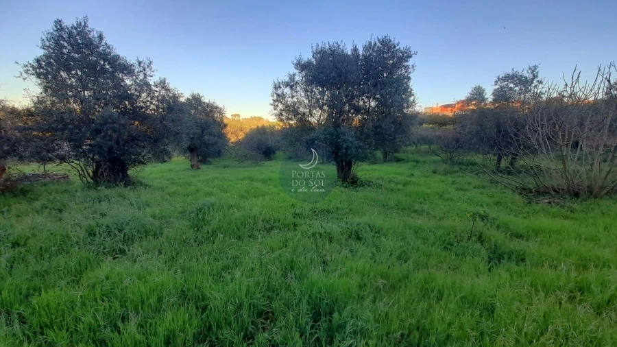 Moradia para Venda em Olaia e Paço Foto 3