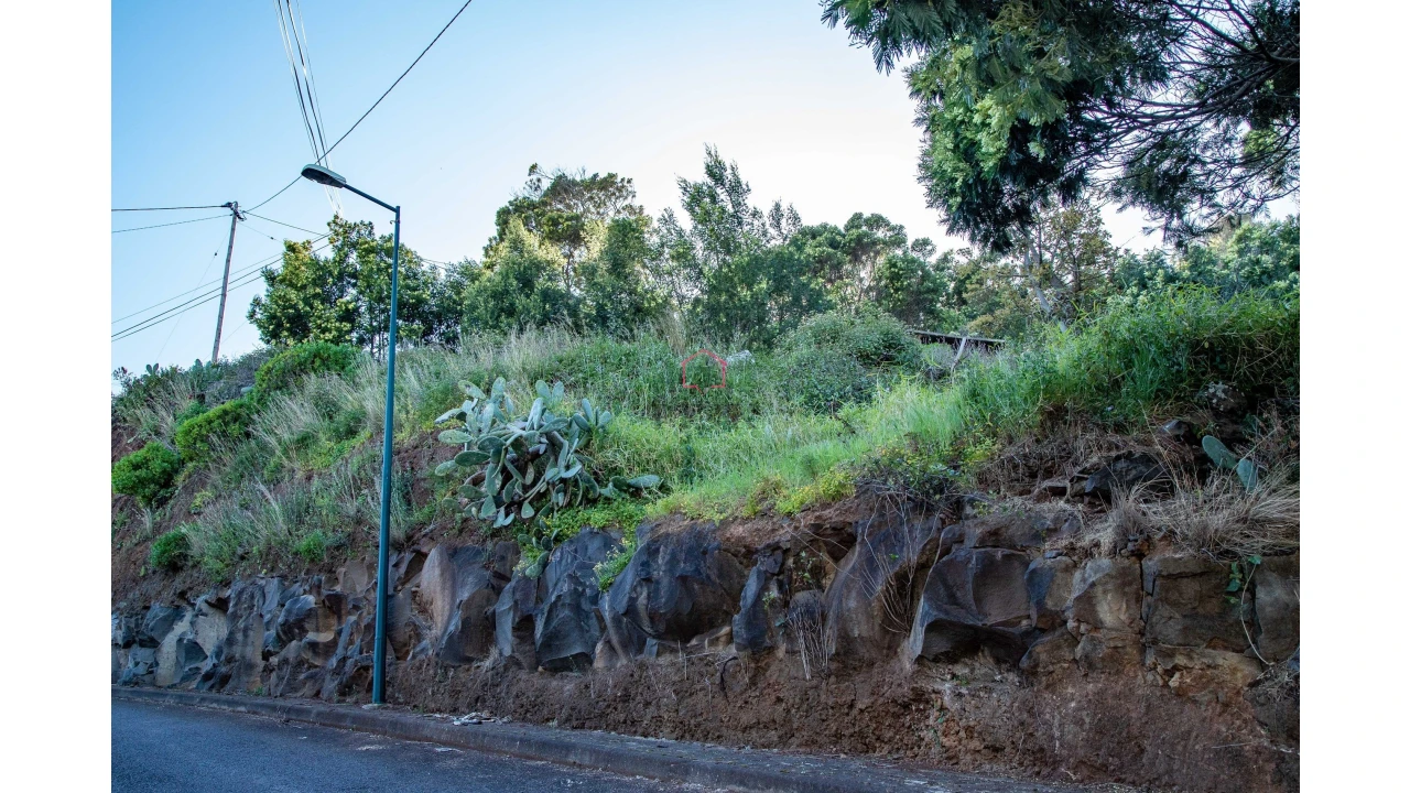 Terreno para Venda em Agua de Pena Foto 5