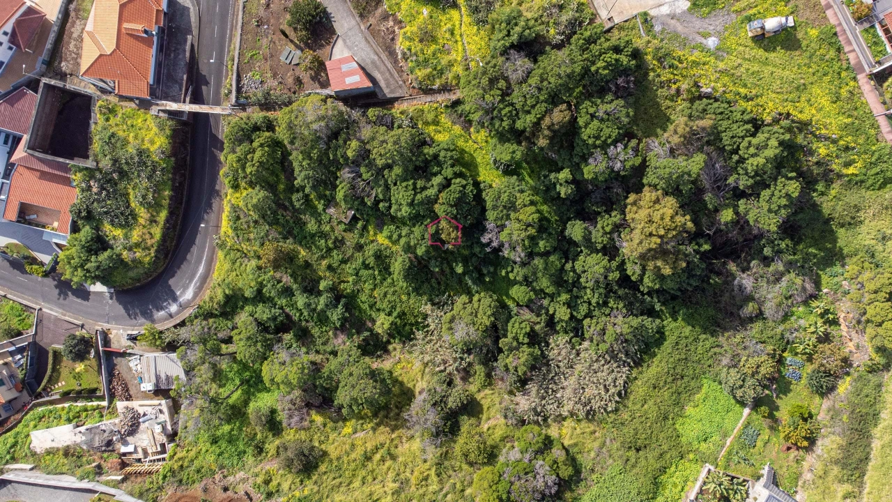 Terreno para Venda em Agua de Pena Foto 6