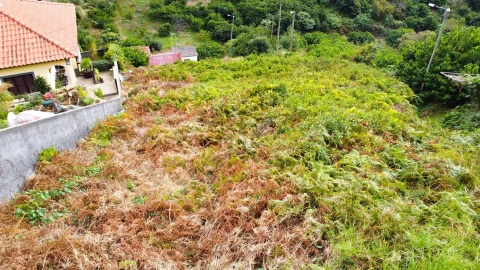 Terreno para Venda em Machico