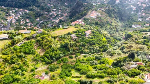 Terreno para Venda em Machico