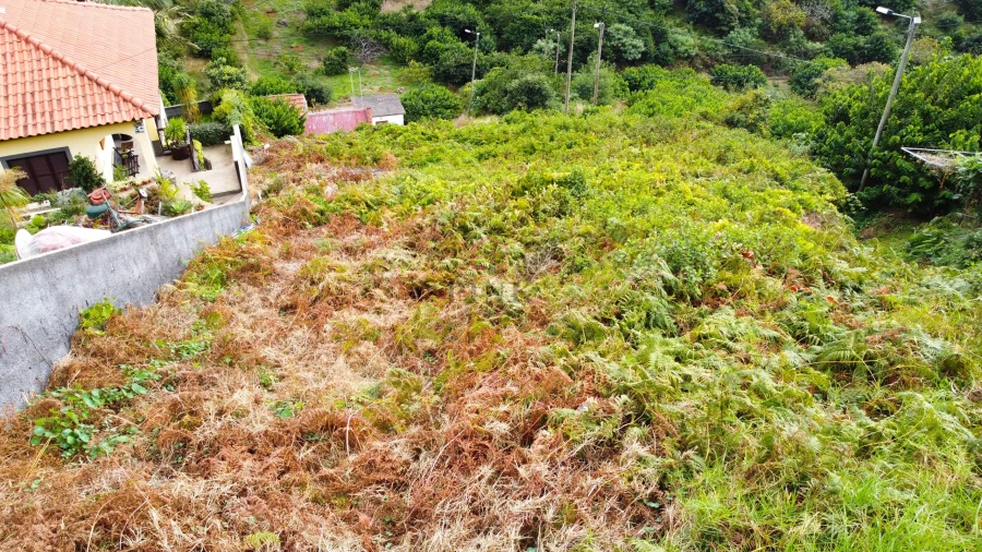 Terreno para Venda em Machico Foto 10