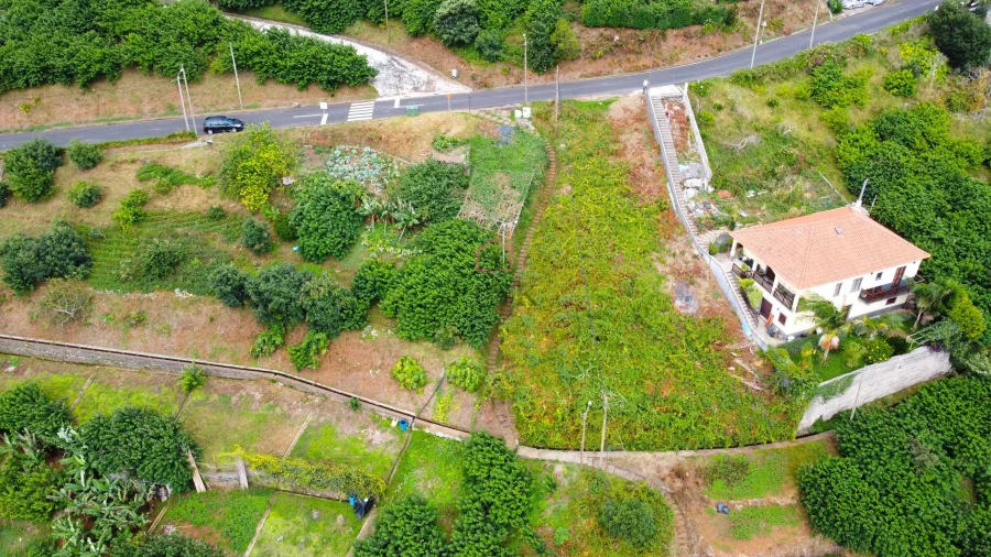 Terreno para Venda em Machico Foto 4