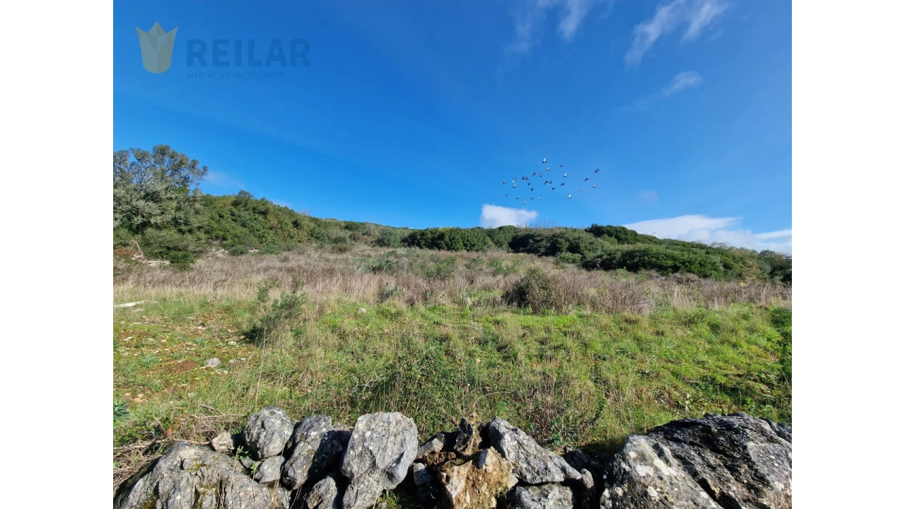 Terreno Agricola ou Rústico para Venda em Alhandra, São João dos Montes e Calhandriz Foto 3