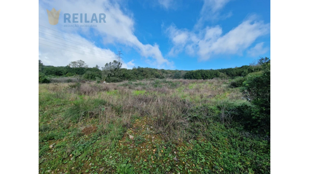 Terreno Agricola ou Rústico para Venda em Alhandra, São João dos Montes e Calhandriz Foto 5