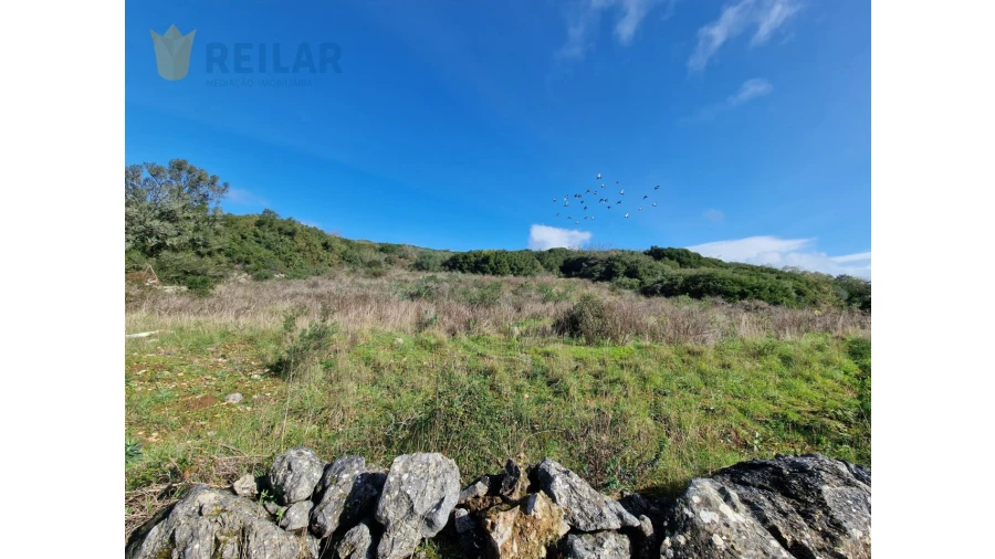 Terreno Agricola ou Rústico para Venda em Alhandra, São João dos Montes e Calhandriz Foto 3