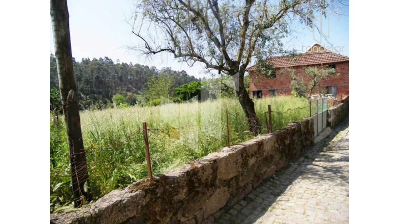 Terreno para Venda em Tondela e Nandufe