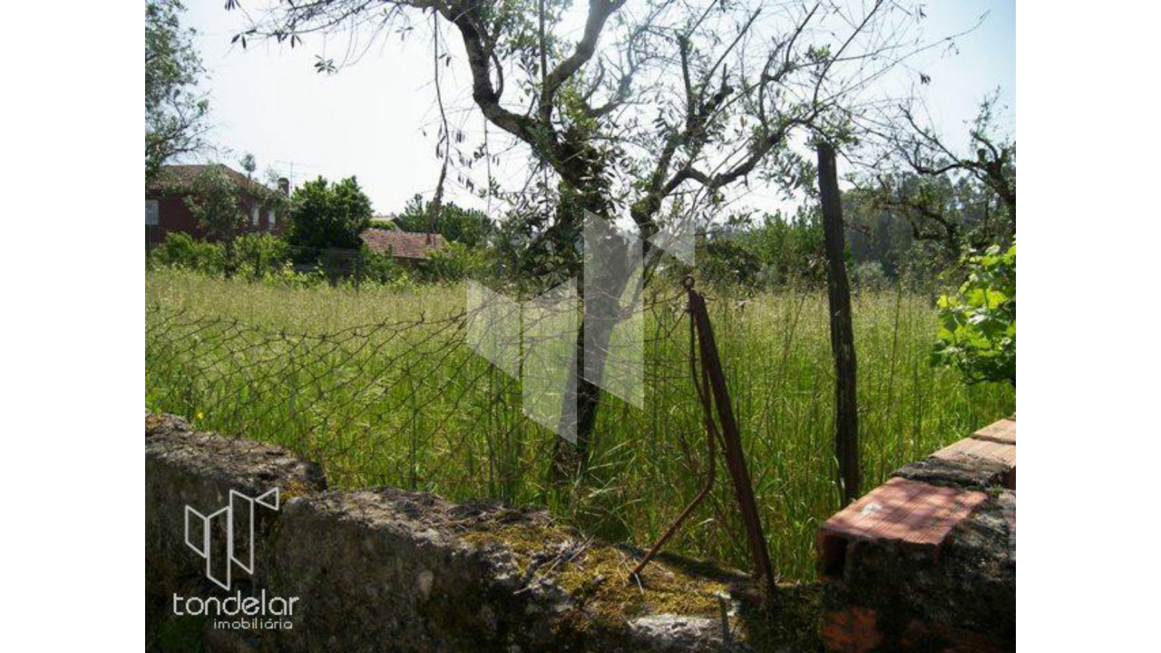 Terreno para Venda em Tondela e Nandufe Foto 2