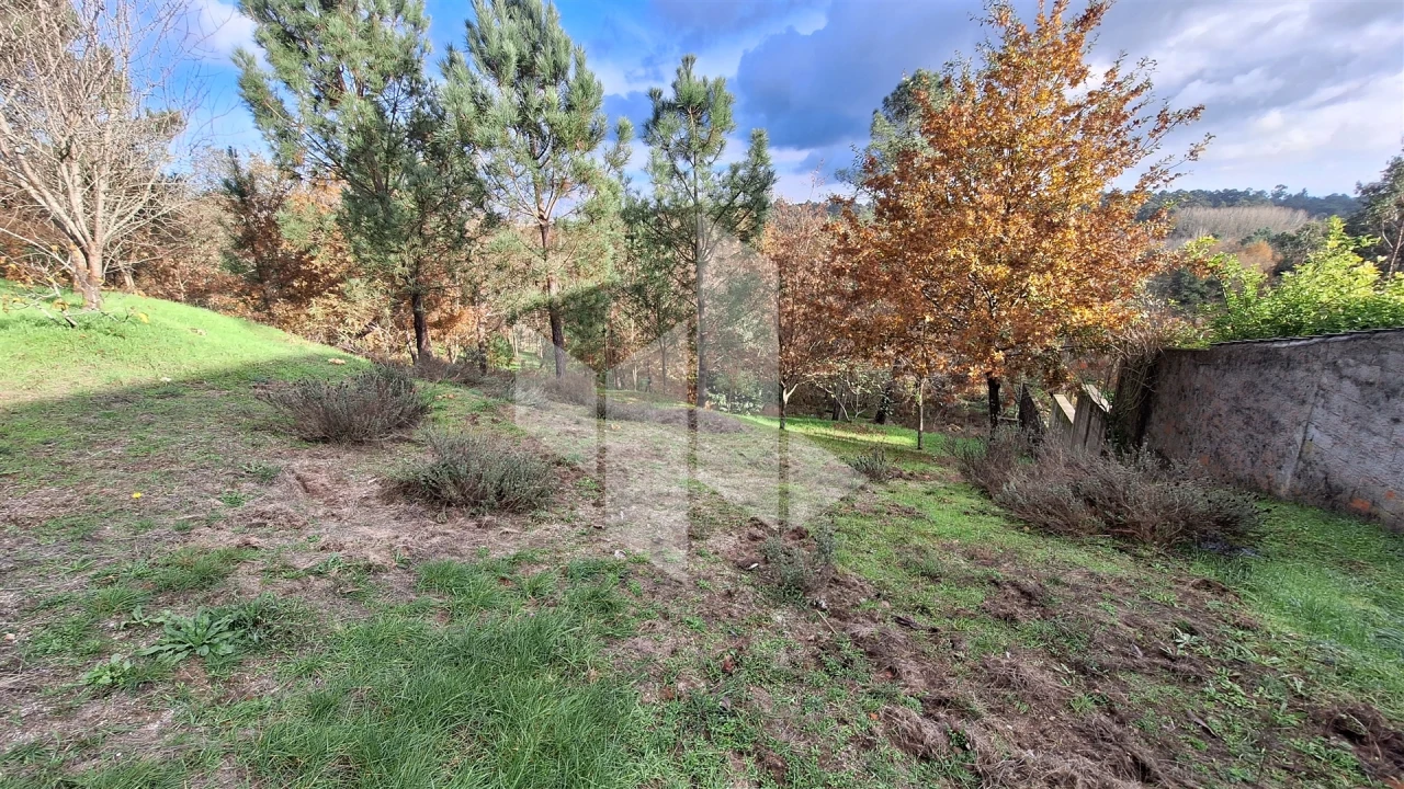 Terreno para Venda em Santiago de Besteiros Foto 3
