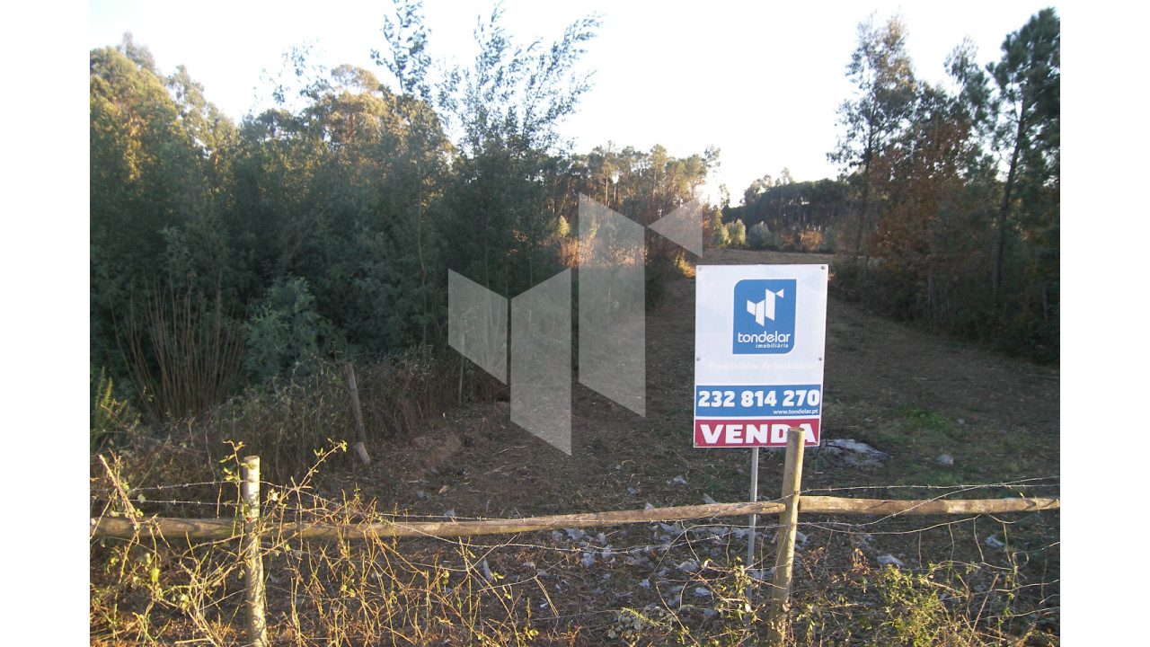 Terreno para Venda em Currelos, Papízios e Sobral Foto 3