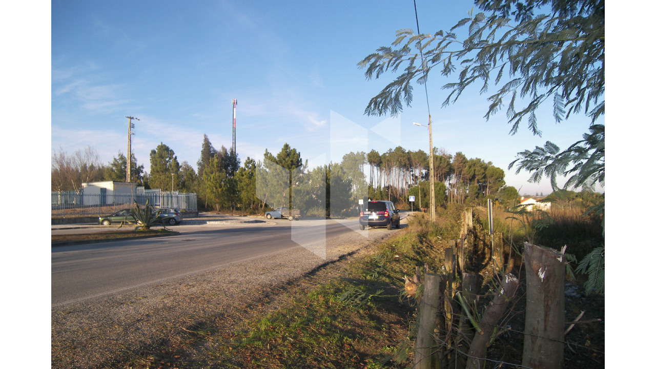 Terreno para Venda em Currelos, Papízios e Sobral Foto 5
