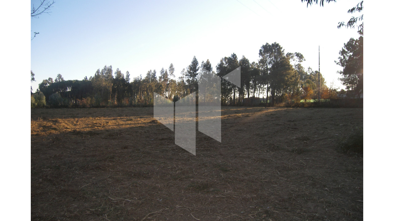 Terreno para Venda em Currelos, Papízios e Sobral Foto 7