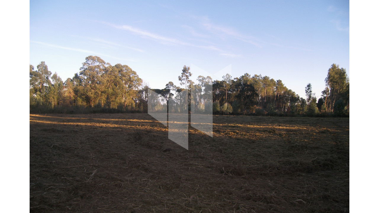 Terreno para Venda em Currelos, Papízios e Sobral Foto 9