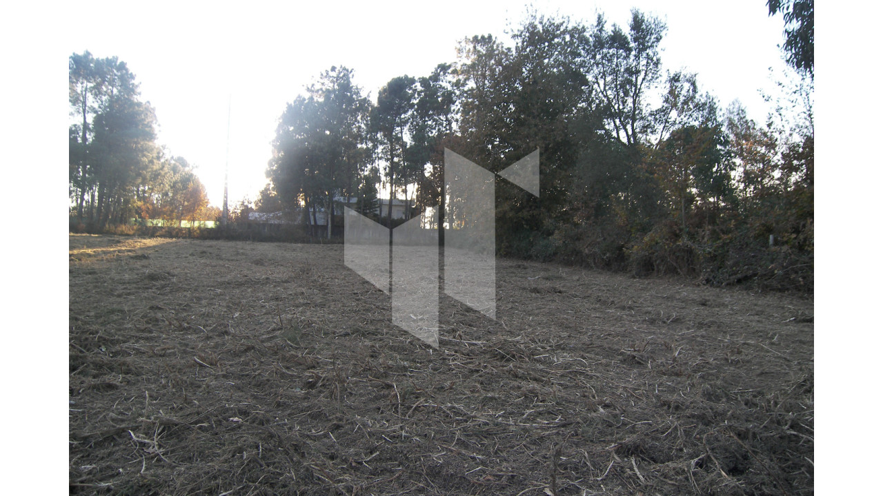 Terreno para Venda em Currelos, Papízios e Sobral Foto 4