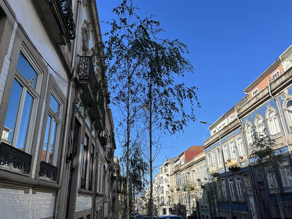 Apartamento T0 para Venda em Cedofeita, Santo Ildefonso, Sé, Miragaia, São Nicolau e Vitória Foto 19