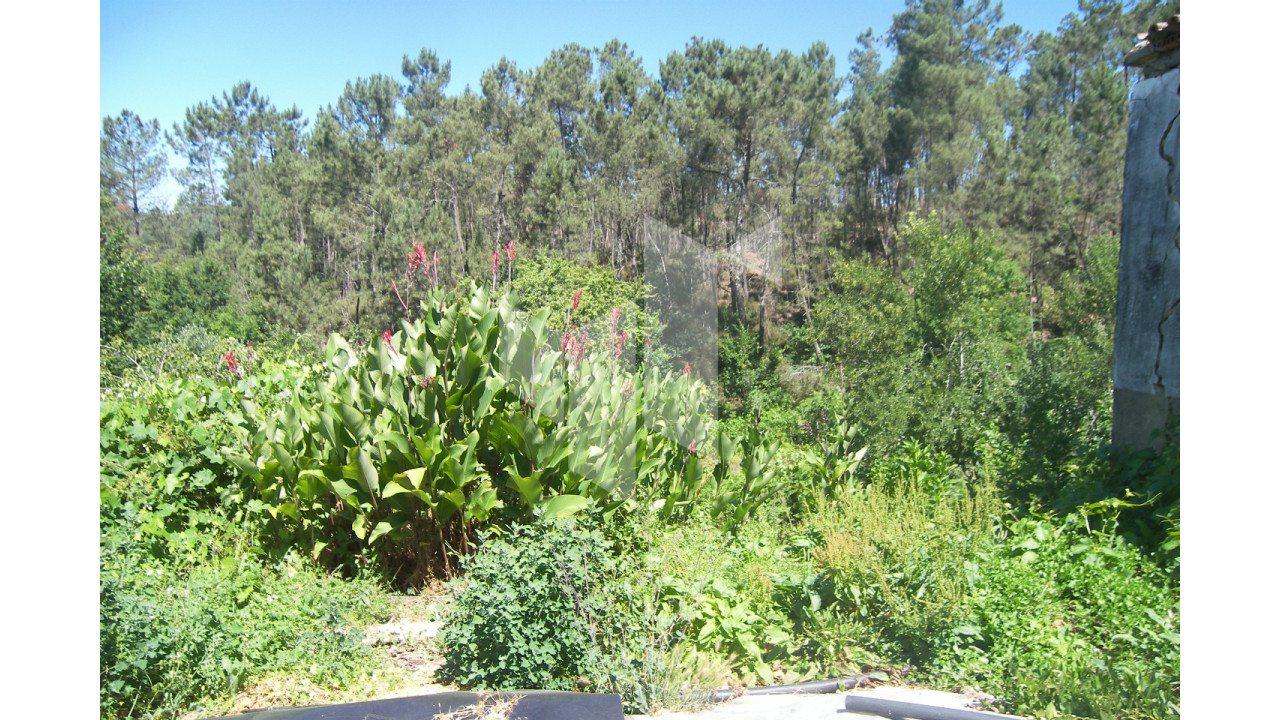 Terreno para Venda em Dardavaz Foto 2