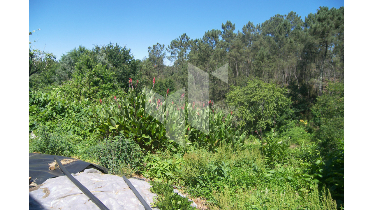 Terreno para Venda em Dardavaz Foto 3
