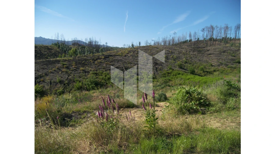 Terreno para Venda em Dardavaz Foto 6
