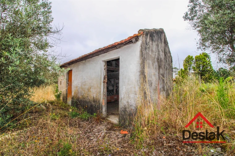 Terreno Agricola ou Rústico para Venda em São Miguel do Mato Foto 5