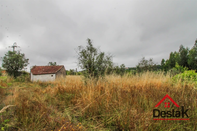 Terreno Agricola ou Rústico para Venda em São Miguel do Mato Foto 4
