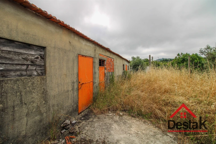 Terreno Agricola ou Rústico para Venda em São Miguel do Mato Foto 2