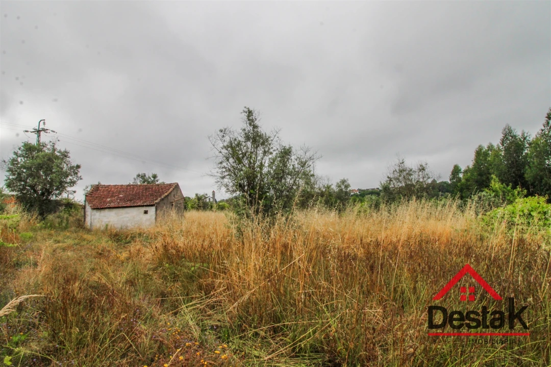 Terreno Agricola ou Rústico para Venda em São Miguel do Mato Foto 4