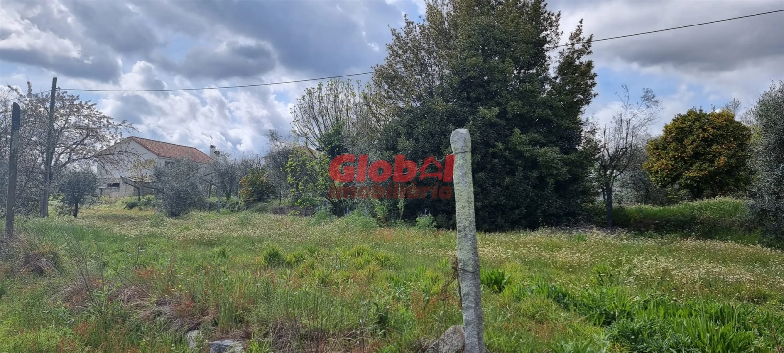 Terreno para Venda em Fragosela Foto 1