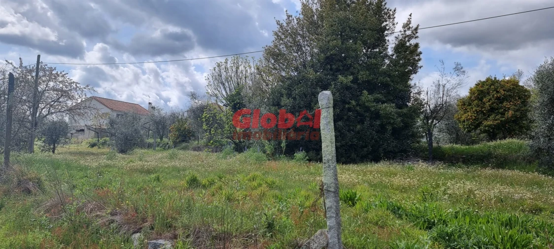 Terreno para Venda em Fragosela