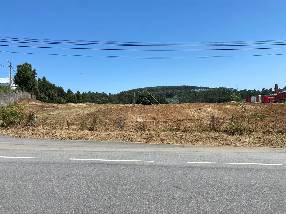 Terreno Misto para Venda em São João de Ver Foto 1