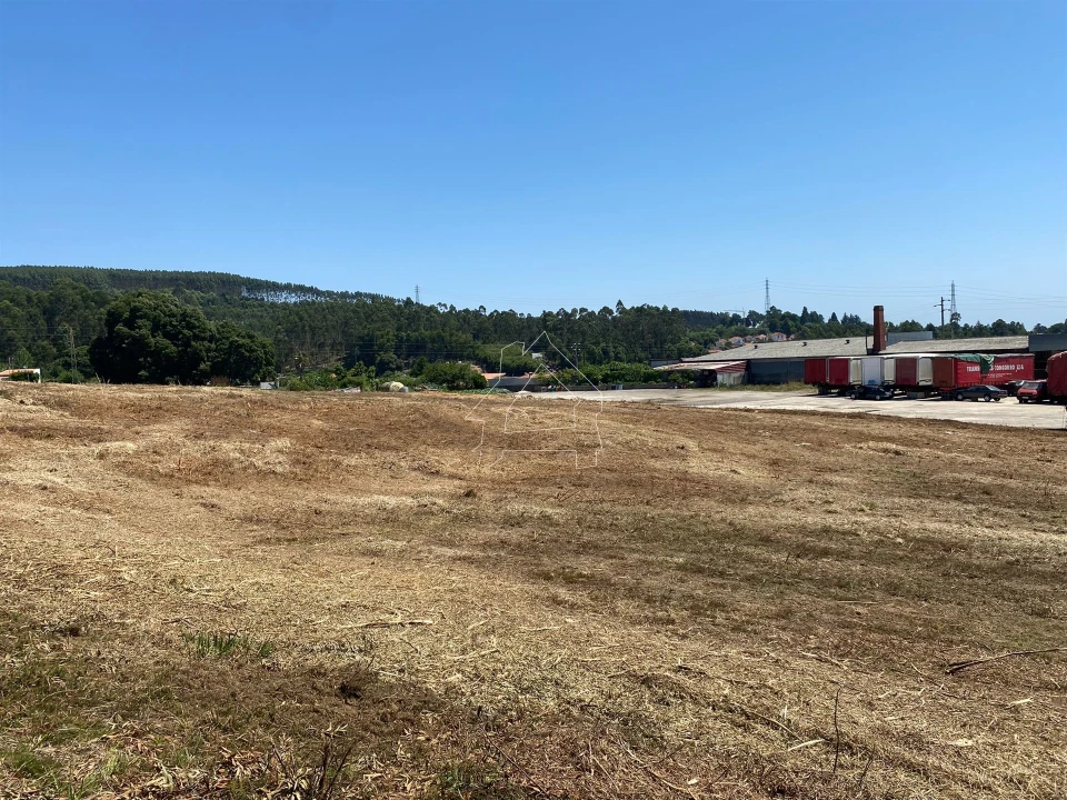 Terreno Misto para Venda em São João de Ver Foto 5