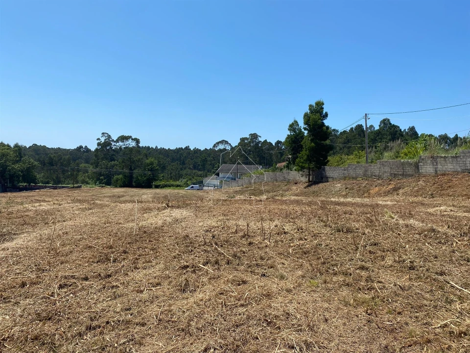 Terreno Misto para Venda em São João de Ver Foto 14