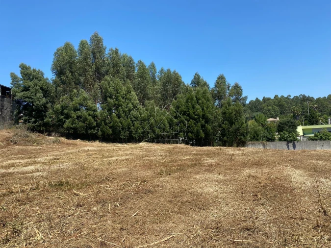 Terreno Misto para Venda em São João de Ver Foto 12
