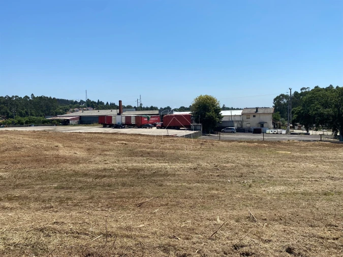 Terreno Misto para Venda em São João de Ver Foto 3