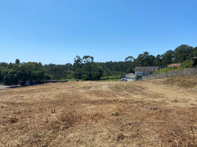 Terreno Misto para Venda em São João de Ver Foto 4