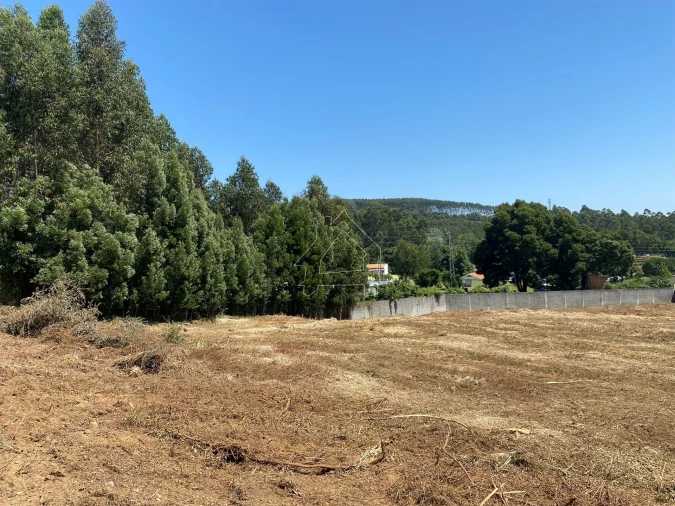 Terreno Misto para Venda em São João de Ver Foto 17