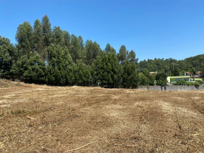 Terreno Misto para Venda em São João de Ver Foto 11