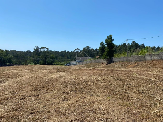 Terreno Misto para Venda em São João de Ver Foto 14