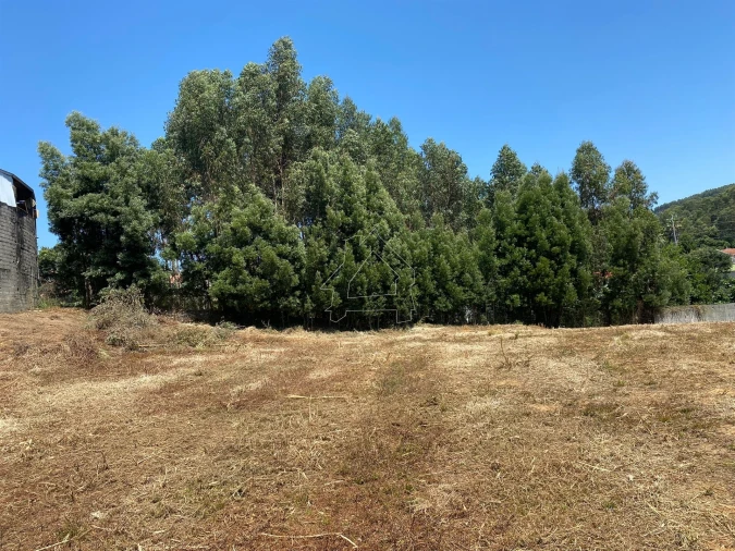 Terreno Misto para Venda em São João de Ver Foto 13