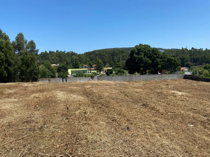 Terreno Misto para Venda em São João de Ver Foto 8