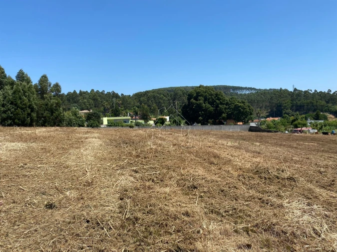 Terreno Misto para Venda em São João de Ver Foto 7