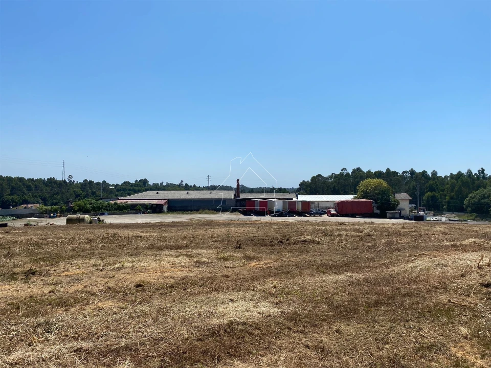 Terreno Misto para Venda em São João de Ver Foto 15