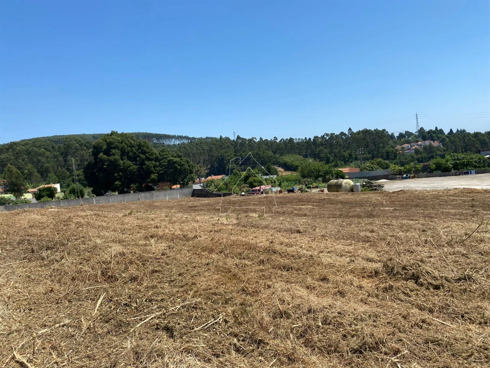 Terreno Misto para Venda em São João de Ver Foto 10