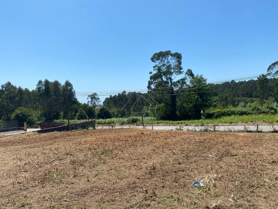 Terreno Misto para Venda em São João de Ver Foto 2