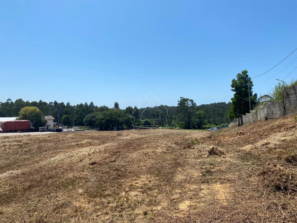 Terreno Misto para Venda em São João de Ver Foto 16