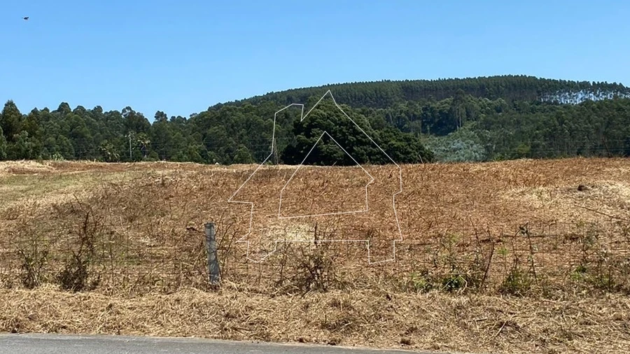Terreno Misto para Venda em São João de Ver