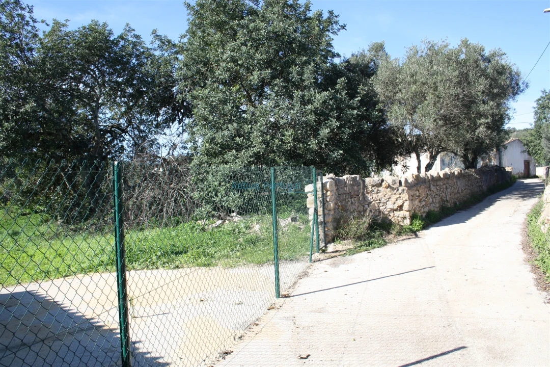 Terreno para Venda em Loule (São Clemente) Foto 10