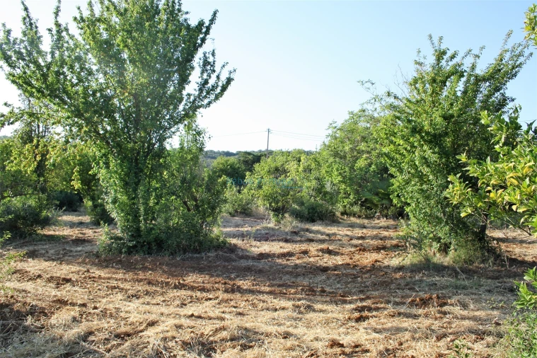 Terreno para Venda em Loule (São Clemente) Foto 4