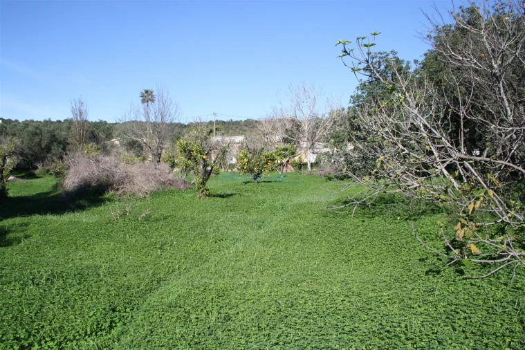 Terreno para Venda em Loule (São Clemente)