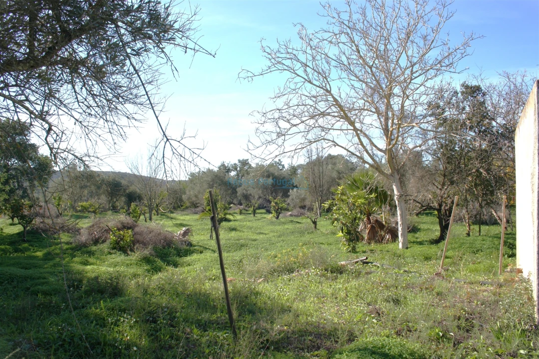 Terreno para Venda em Loule (São Clemente) Foto 2