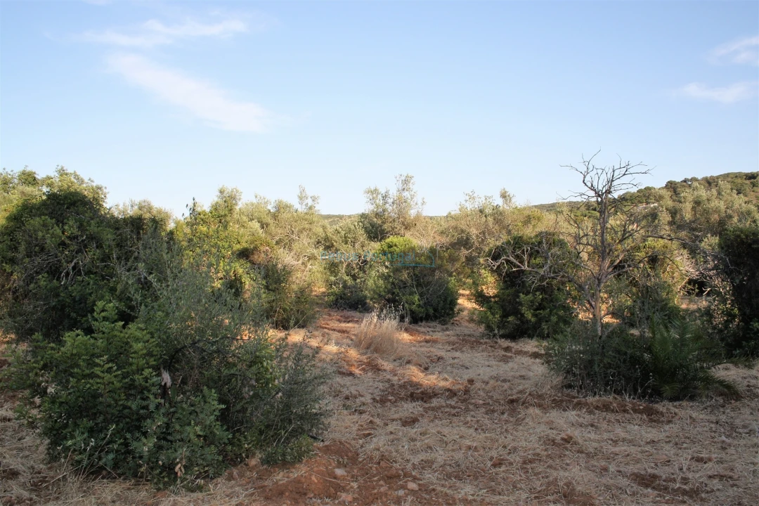 Terreno para Venda em Loule (São Clemente) Foto 5